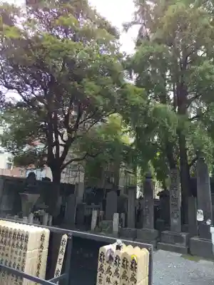 回向院(東京都)