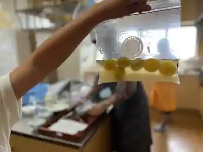 成田山函館別院函館寺(北海道)