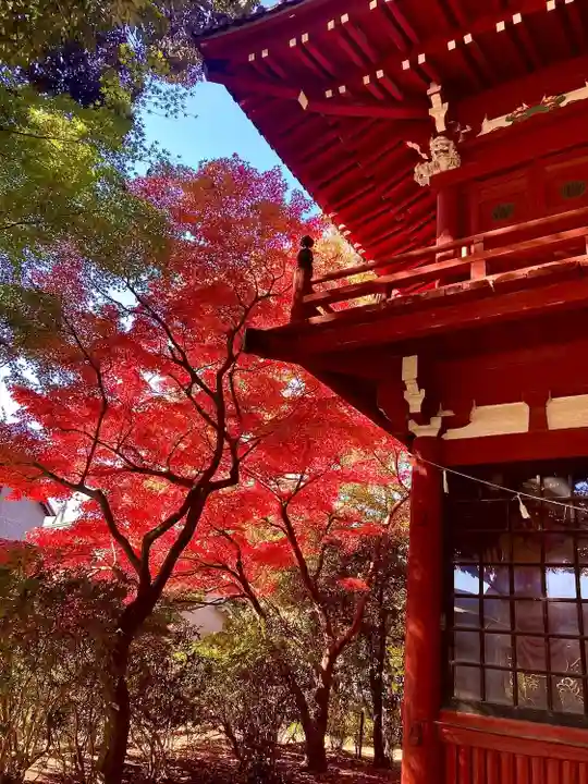 本土寺(千葉県)