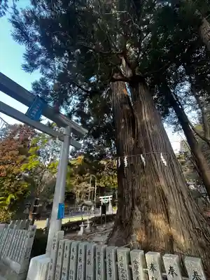 相馬中村神社(福島県)
