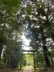成田熊野神社の鳥居