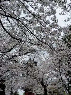 池上本門寺(東京都)