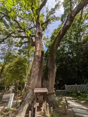 伊弉諾神宮(兵庫県)