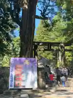 日光東照宮の鳥居