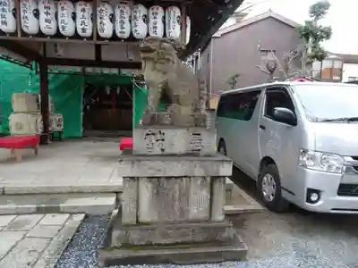 金札宮の狛犬