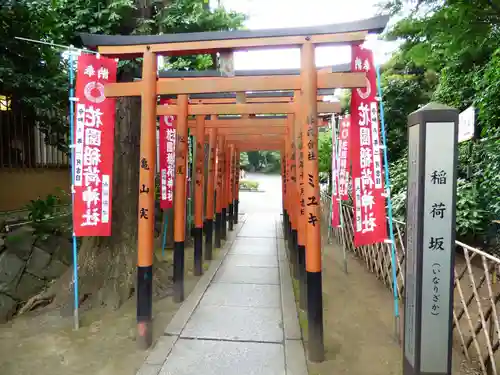 花園稲荷神社の鳥居