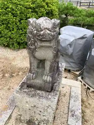 吉備津神社の狛犬