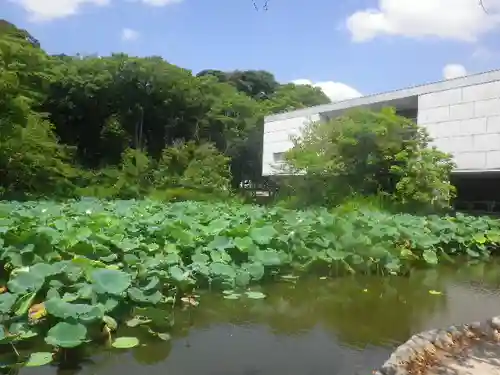 鶴岡八幡宮の庭園