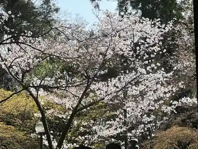 真正極楽寺(真如堂)(京都府)