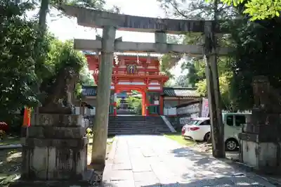 新日吉神宮の狛犬
