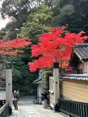 清荒神清澄寺(兵庫県)