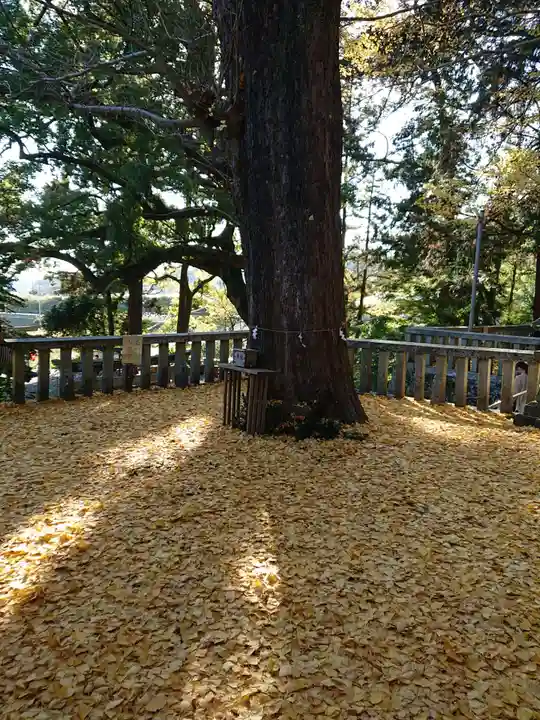 事任八幡宮の自然