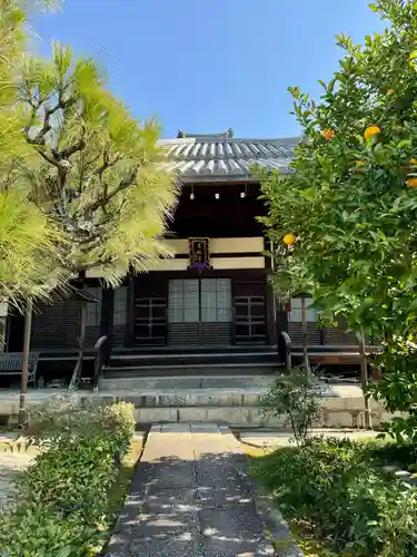 專稱寺（専称寺）(京都府)