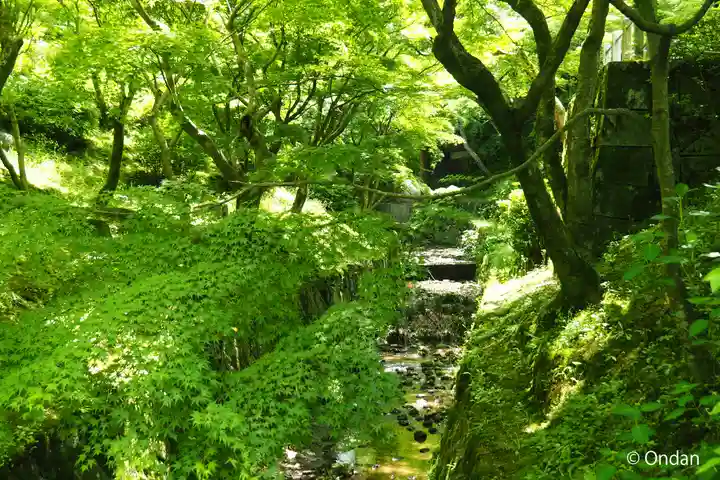 東福禅寺(東福寺)(京都府)