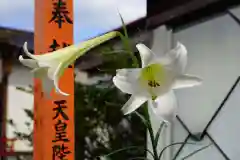 大鏑神社の庭園