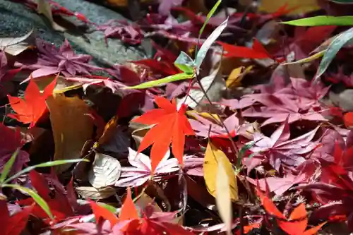 豊景神社の庭園