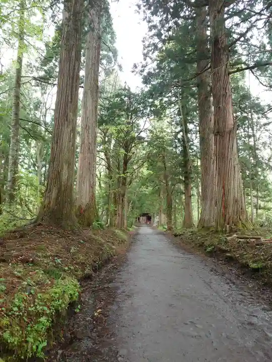戸隠神社奥社(長野県)