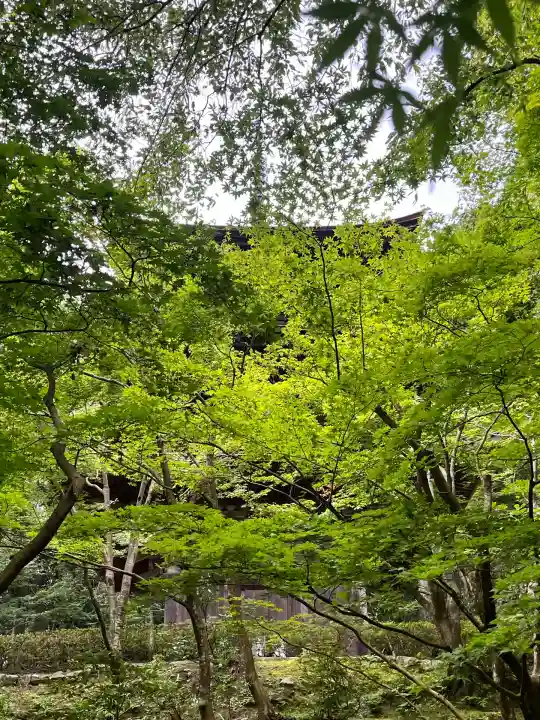 金剛輪寺(滋賀県)