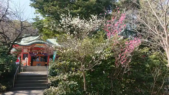 芝東照宮の自然