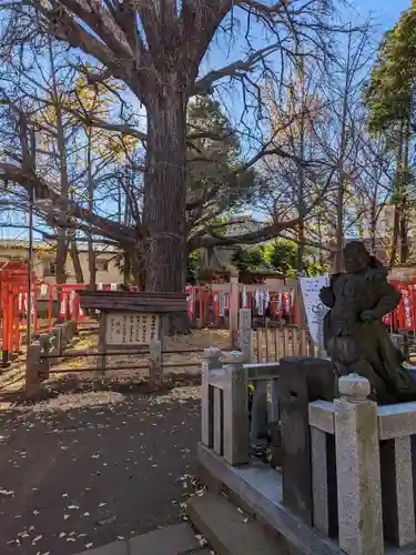 鬼子母神堂　(法明寺）の自然