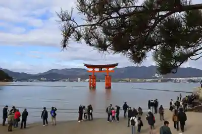 厳島神社(広島県)