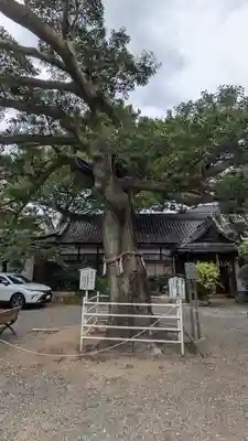 生根神社(大阪府)
