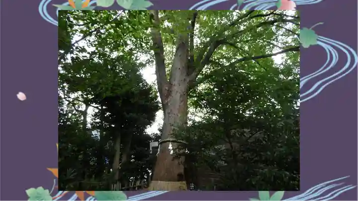 鎮守氷川神社(埼玉県)