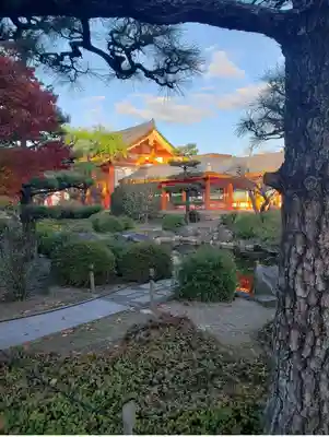 蓮華王院（三十三間堂）のその他建物