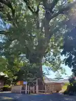 伊勢神明社の自然