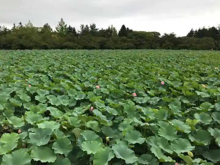 猿賀神社(青森県)