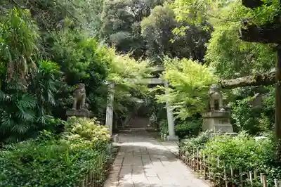 赤坂氷川神社(東京都)