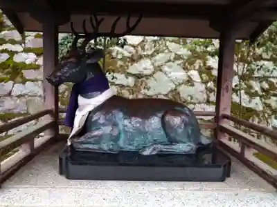 吉田神社(京都府)