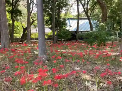 祖光院(千葉県)
