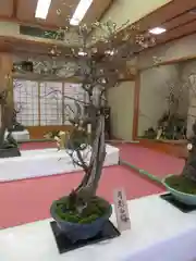 菅原天満宮（菅原神社）の自然