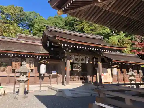 出雲大神宮の本殿・本堂