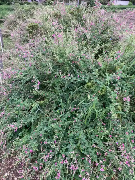 洞昌院(埼玉県)