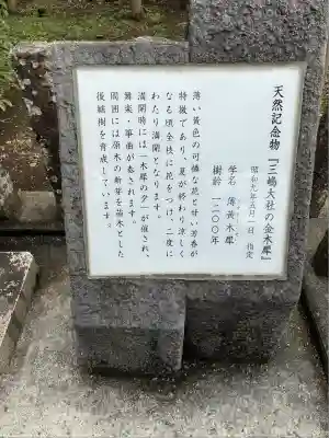 三嶋大社(静岡県)