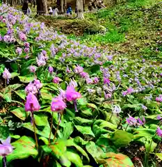 香積寺の自然