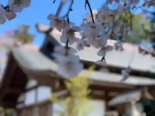 代田八幡神社の自然