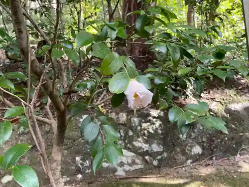 平岡八幡宮(京都府)