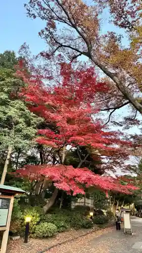 【閉業】小石川大神宮の{uncategorized: "未分類", other: "その他", undefined: "問題あり", building: "その他建物", grave: "お墓", sacred_gate: "鳥居", guardian: "狛犬", statue: "像", buddha: "仏像", history: "歴史", nature: "自然", garden: "庭園", animal: "動物", pagoda: "塔", temizu: "手水舎", mountain_gate: "山門・神門", sanctuary: "本殿・本堂", subordinate: "末社・摂社", art: "芸術", scenery: "景色", jizo: "地蔵", ema: "絵馬", goshuin: "御朱印", omikuji: "おみくじ", items: "授与品その他", amulet: "お守り", goshuincho: "御朱印帳", eats: "食事", festival: "お祭り", votive_dance: "神楽", shichigosan: "七五三参", wedding: "結婚式", experience: "体験その他", initially: "初詣", around: "周辺", anti_infection: "感染症対策"}