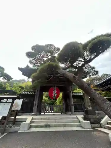 長谷寺の山門・神門