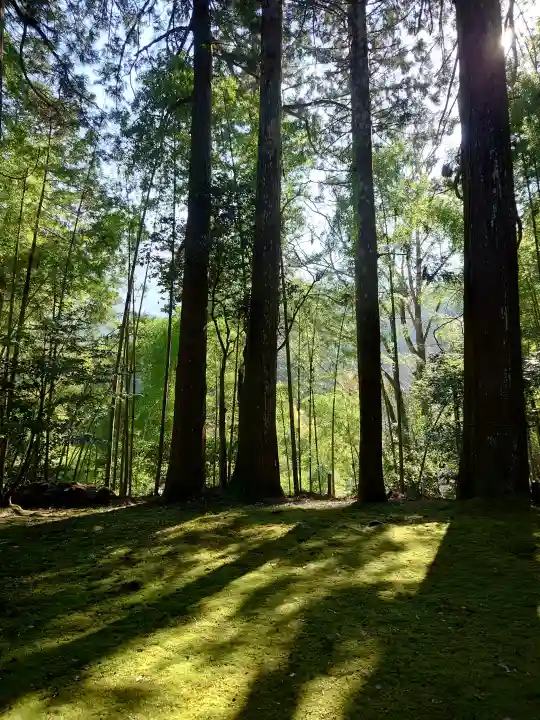 天津神社の{uncategorized: "未分類", other: "その他", undefined: "問題あり", building: "その他建物", grave: "お墓", sacred_gate: "鳥居", guardian: "狛犬", statue: "像", buddha: "仏像", history: "歴史", nature: "自然", garden: "庭園", animal: "動物", pagoda: "塔", temizu: "手水舎", mountain_gate: "山門・神門", sanctuary: "本殿・本堂", subordinate: "末社・摂社", art: "芸術", scenery: "景色", jizo: "地蔵", ema: "絵馬", goshuin: "御朱印", omikuji: "おみくじ", items: "授与品その他", amulet: "お守り", goshuincho: "御朱印帳", eats: "食事", festival: "お祭り", votive_dance: "神楽", shichigosan: "七五三参", wedding: "結婚式", experience: "体験その他", initially: "初詣", around: "周辺", anti_infection: "感染症対策"}