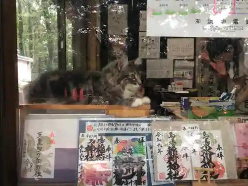 馬場氷川神社の動物