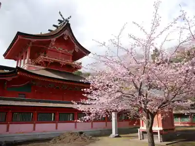 富士山本宮浅間大社(静岡県)