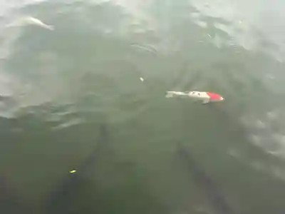 八大龍王総本殿(岐阜県)