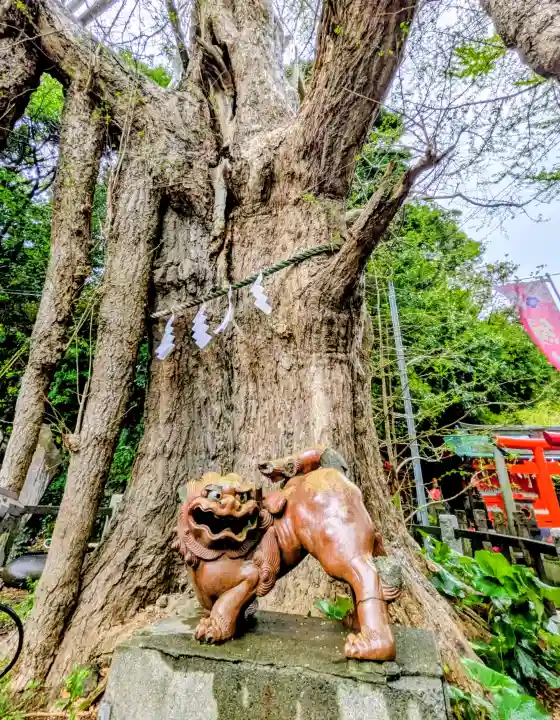 海南神社の{uncategorized: "未分類", other: "その他", undefined: "問題あり", building: "その他建物", grave: "お墓", sacred_gate: "鳥居", guardian: "狛犬", statue: "像", buddha: "仏像", history: "歴史", nature: "自然", garden: "庭園", animal: "動物", pagoda: "塔", temizu: "手水舎", mountain_gate: "山門・神門", sanctuary: "本殿・本堂", subordinate: "末社・摂社", art: "芸術", scenery: "景色", jizo: "地蔵", ema: "絵馬", goshuin: "御朱印", omikuji: "おみくじ", items: "授与品その他", amulet: "お守り", goshuincho: "御朱印帳", eats: "食事", festival: "お祭り", votive_dance: "神楽", shichigosan: "七五三参", wedding: "結婚式", experience: "体験その他", initially: "初詣", around: "周辺", anti_infection: "感染症対策"}