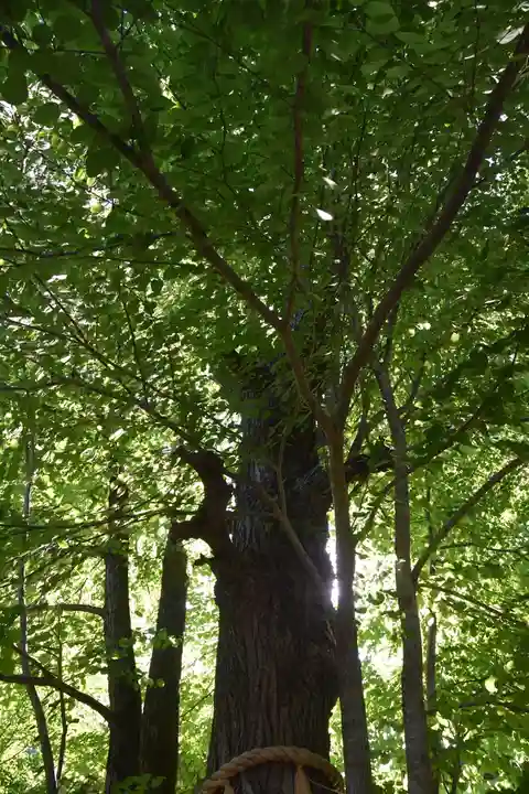 梨木神社の自然
