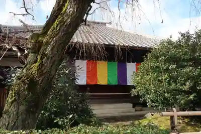 地蔵院（椿寺）(京都府)