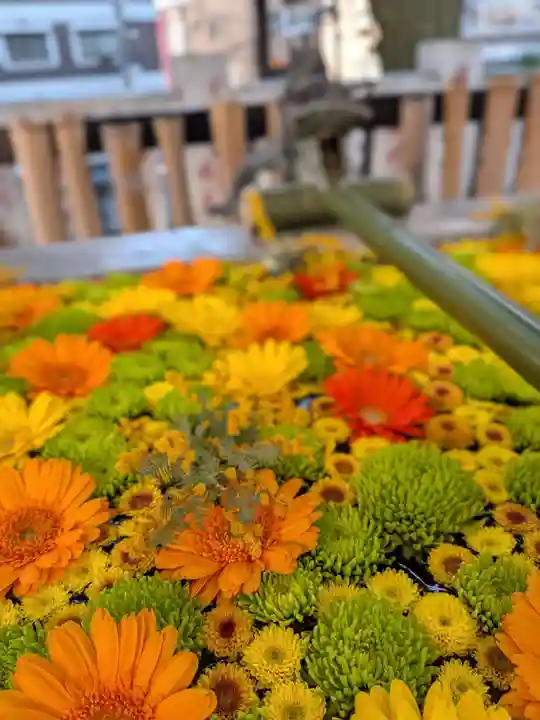 高円寺氷川神社(東京都)